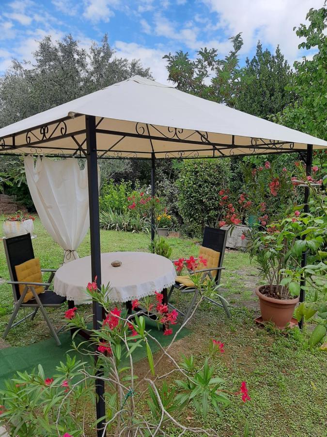 Studio With Garden Near The Sea Κόπερ Εξωτερικό φωτογραφία
