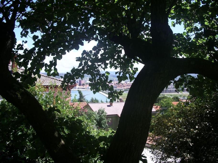 Studio With Garden Near The Sea Κόπερ Εξωτερικό φωτογραφία